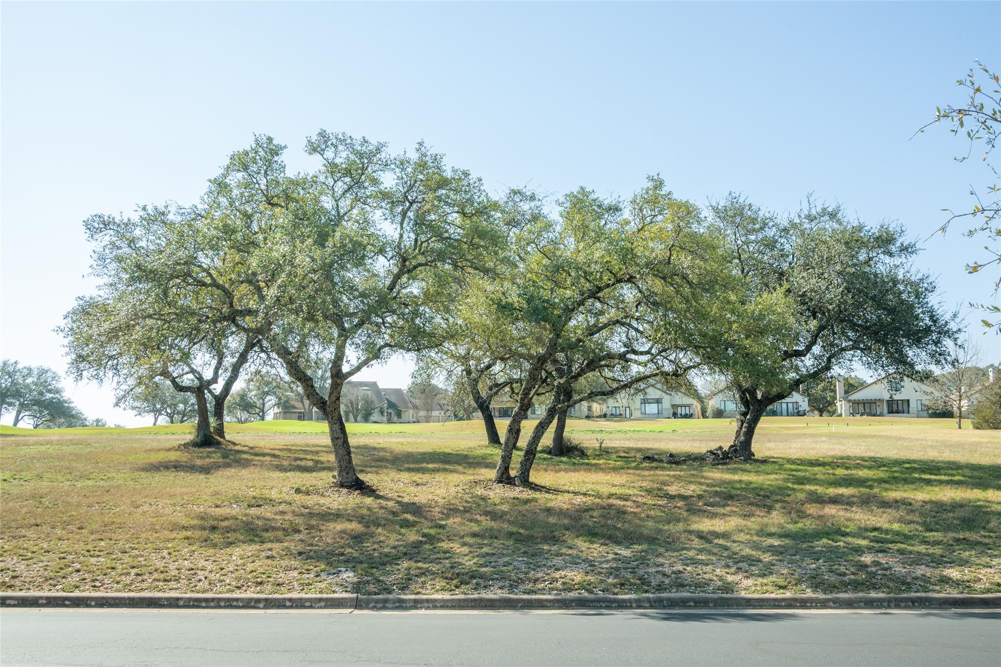 27113 Founders Place Spicewood TX 78669