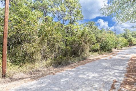 Lot 1263 W Kamoi Court Bastrop TX 78602