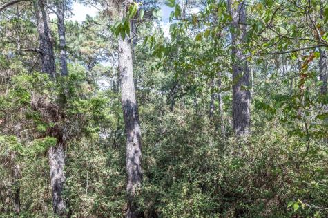 Lot 1263 W Kamoi Court Bastrop TX 78602