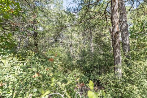 Lot 1263 W Kamoi Court Bastrop TX 78602