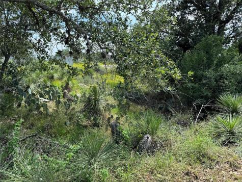 Pid 17064 Sweetbriar Drive Granite Shoals TX 78654