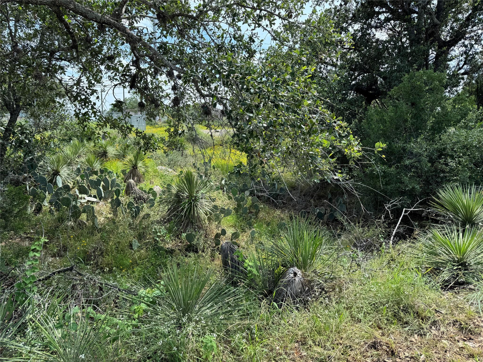Pid 17064 Sweetbriar Drive Granite Shoals TX 78654