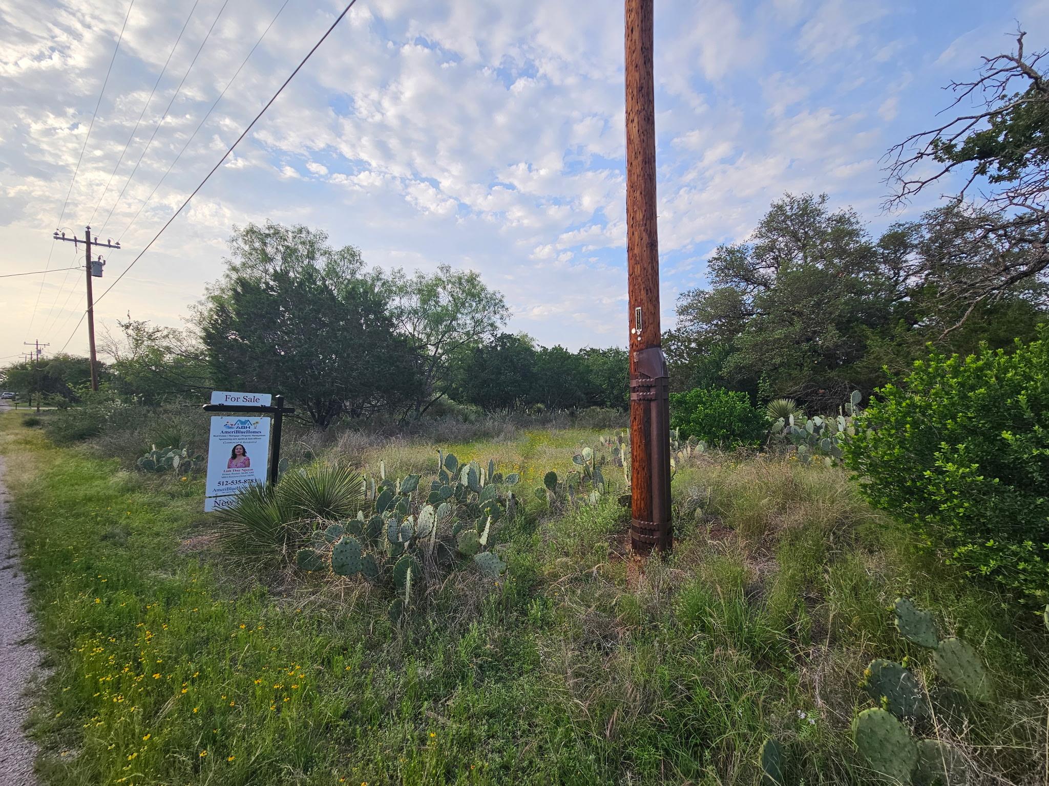 Pid 17064 Sweetbriar Drive Granite Shoals TX 78654