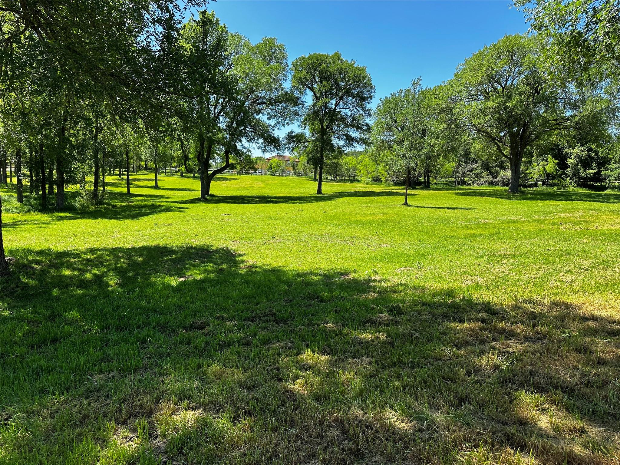 197 Colorado Drive Cedar Creek TX 78612