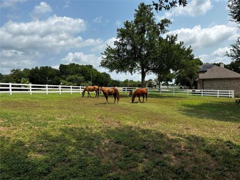 197 Colorado Drive Cedar Creek TX 78612