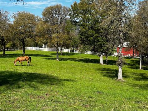197 Colorado Drive Cedar Creek TX 78612
