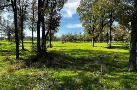 197 Colorado Drive Cedar Creek TX 78612