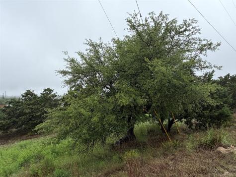 17408 Lake Wood Circle Dripping Springs TX 78620