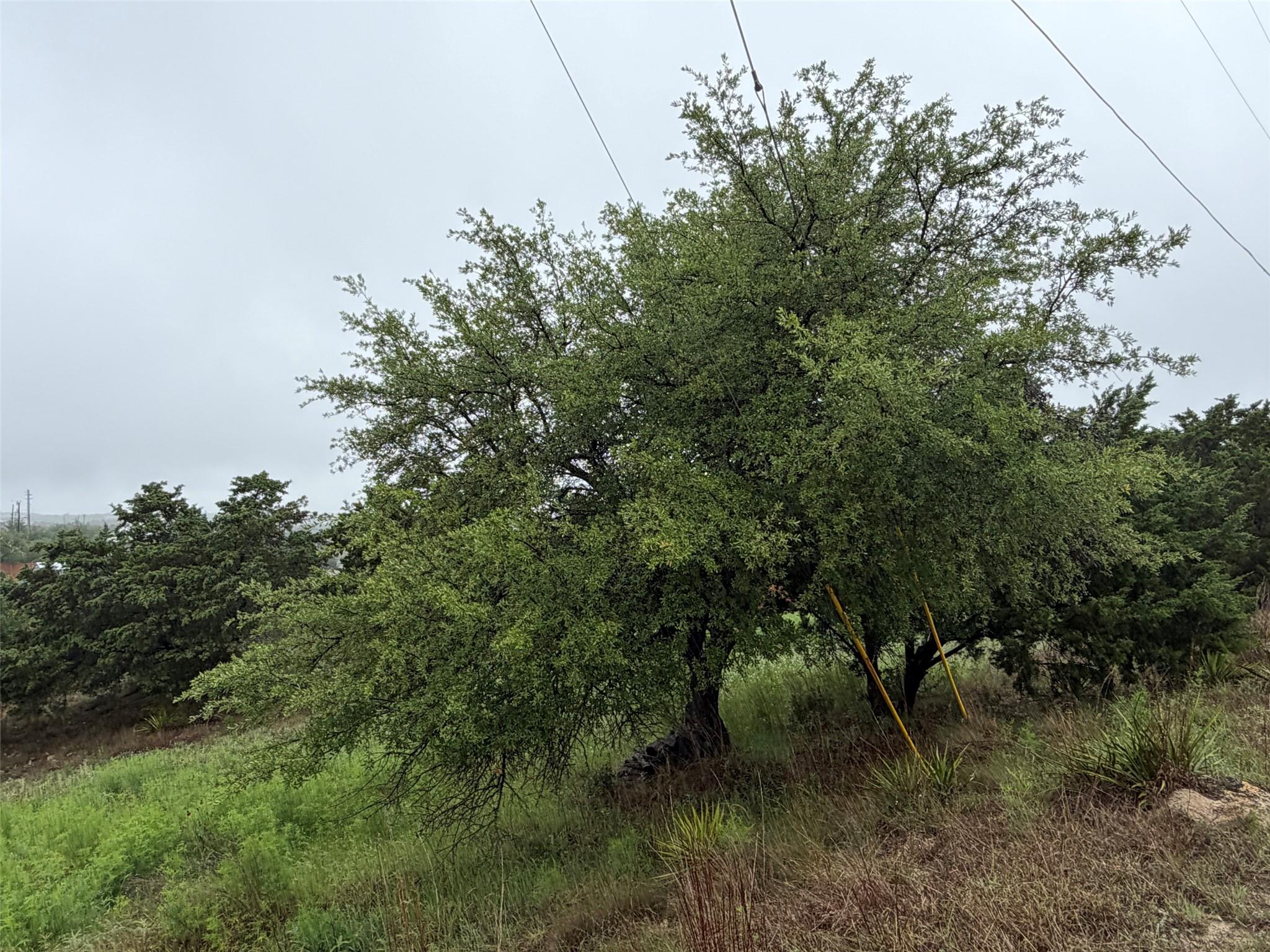 17408 Lake Wood Circle Dripping Springs TX 78620