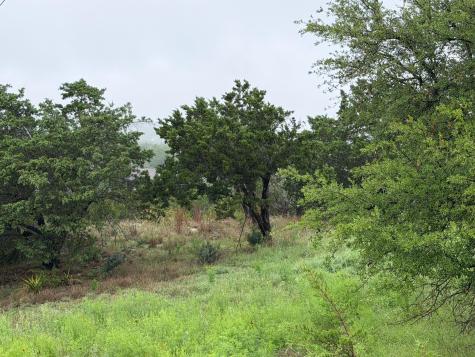 17408 Lake Wood Circle Dripping Springs TX 78620