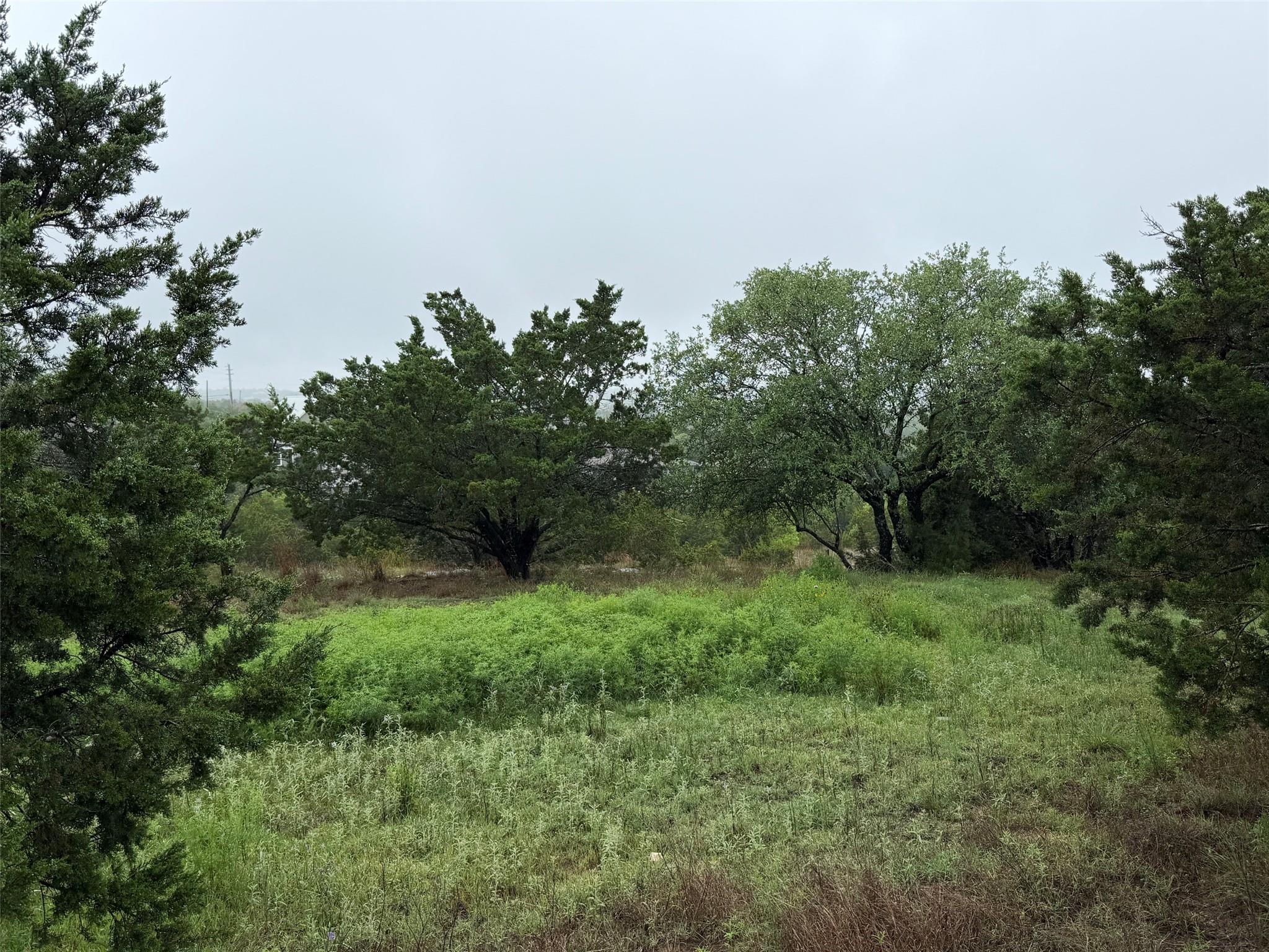 17408 Lake Wood Circle Dripping Springs TX 78620