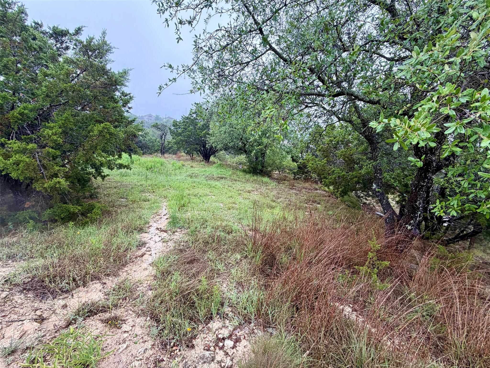 17408 Lake Wood Circle Dripping Springs TX 78620