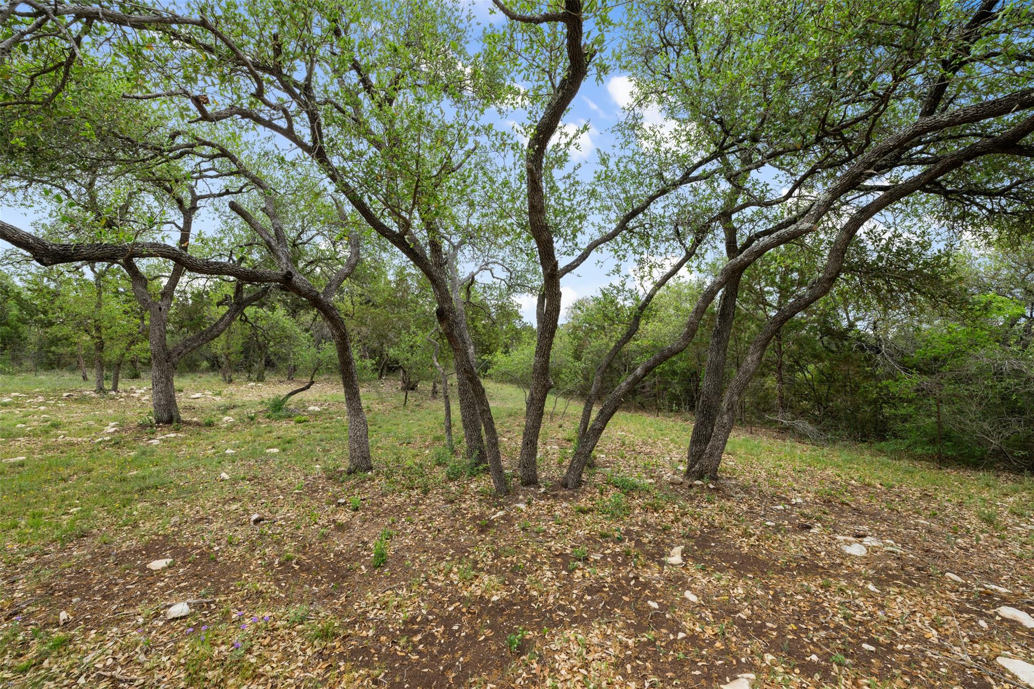 15901 Buddy Avenue Volente TX 78641