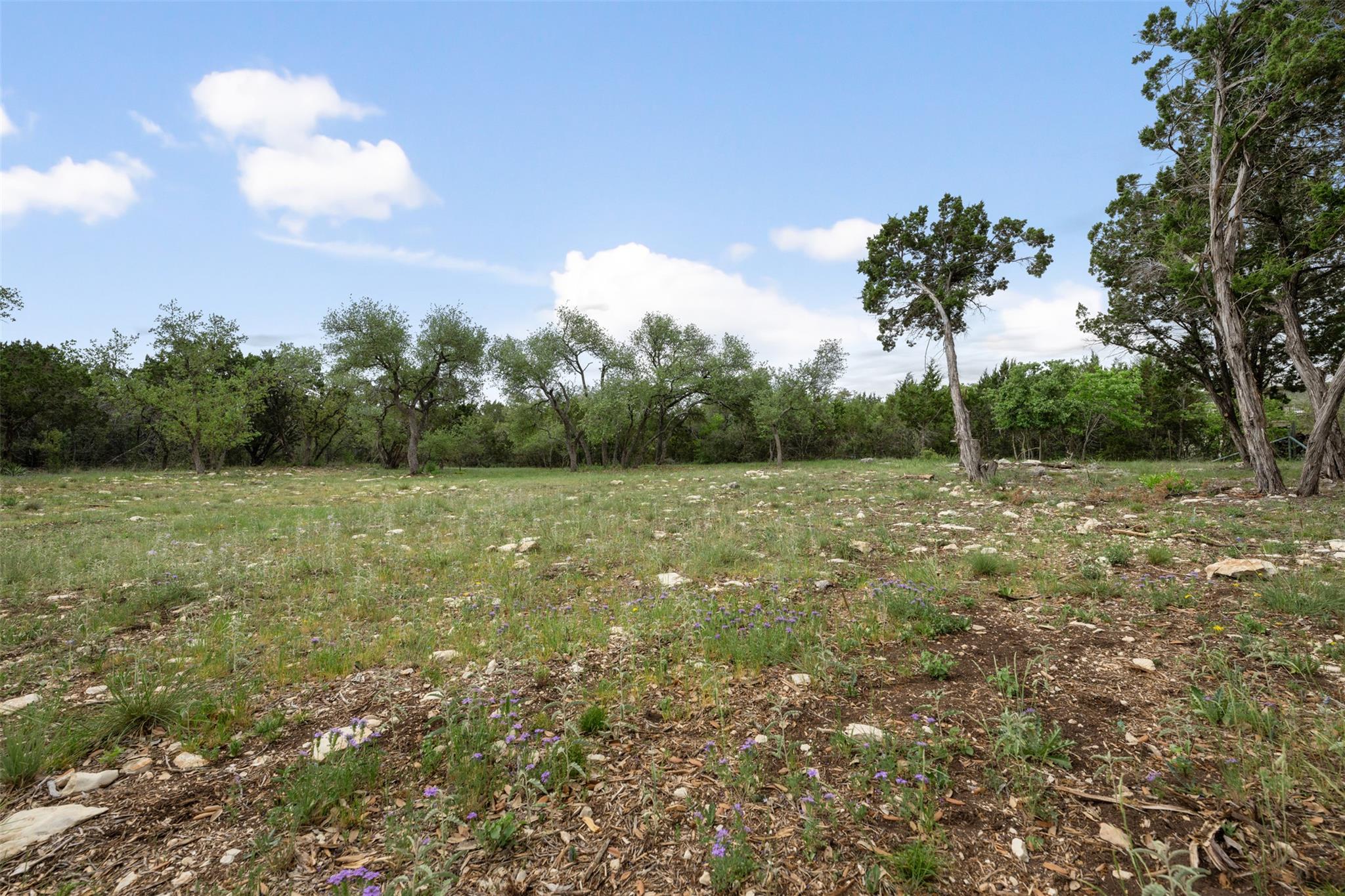 15901 Buddy Avenue Volente TX 78641