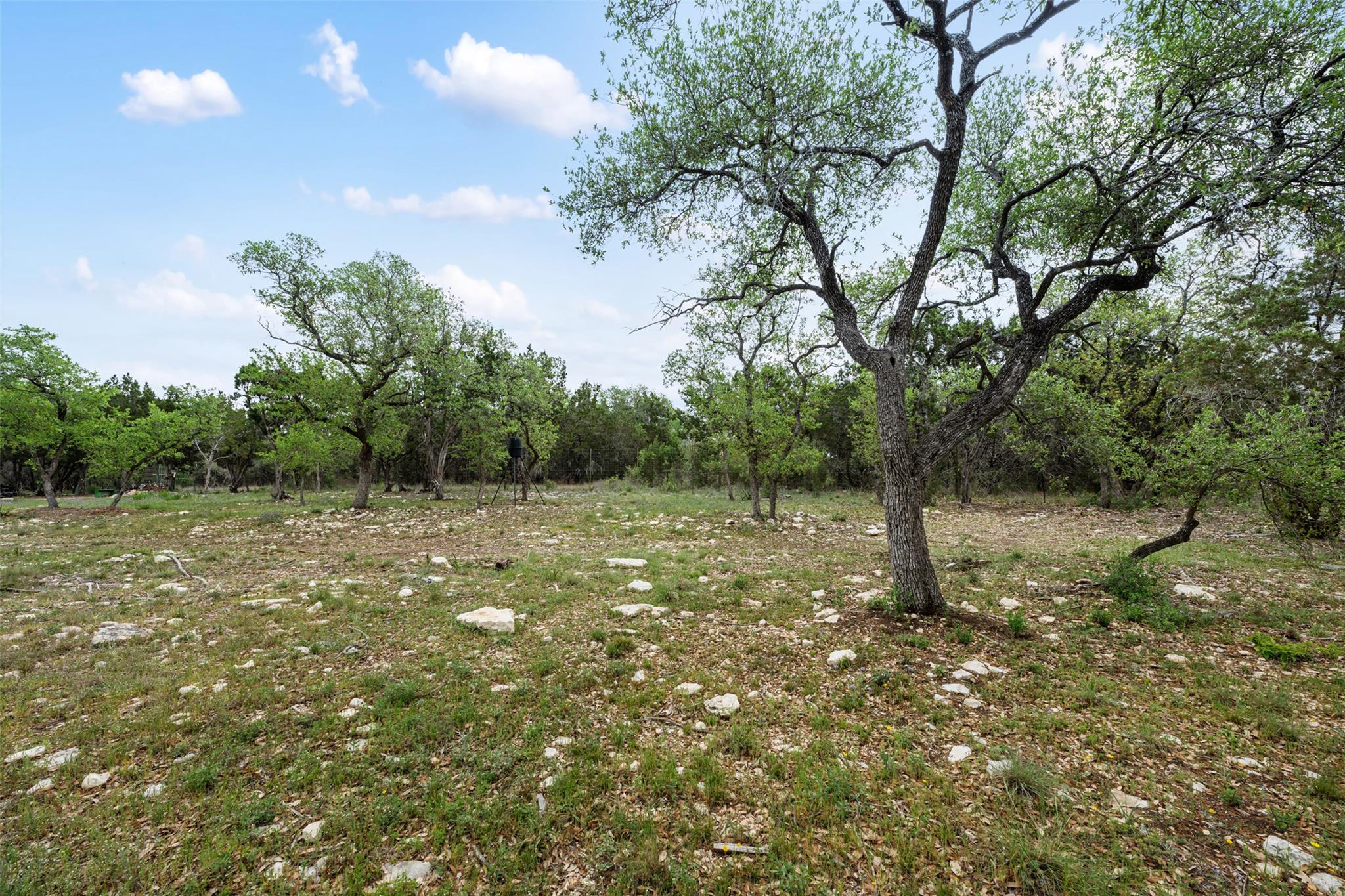 15901 Buddy Avenue Volente TX 78641