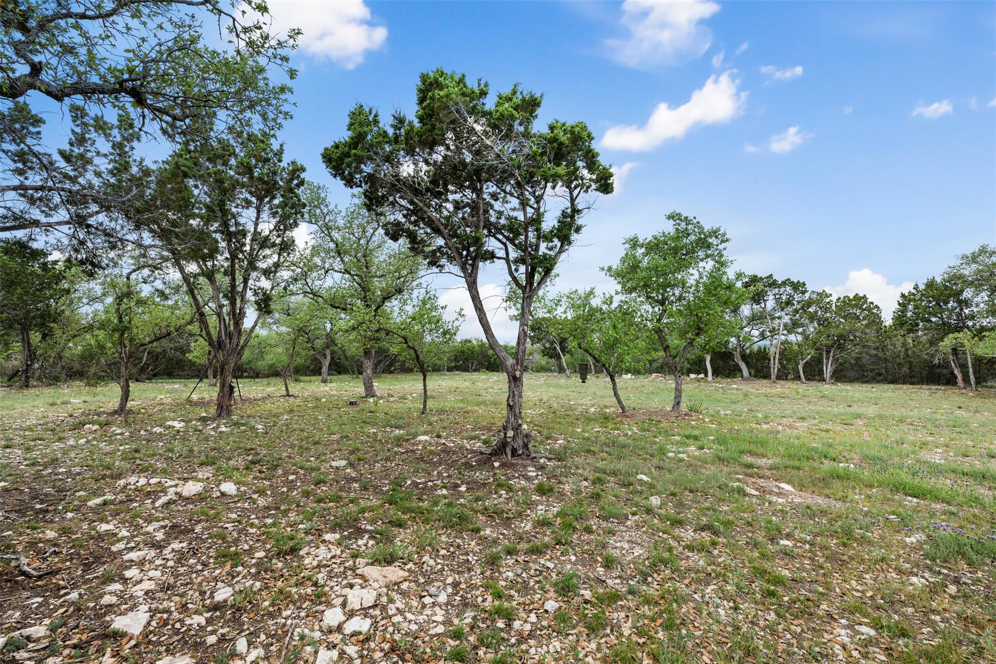 15901 Buddy Avenue Volente TX 78641