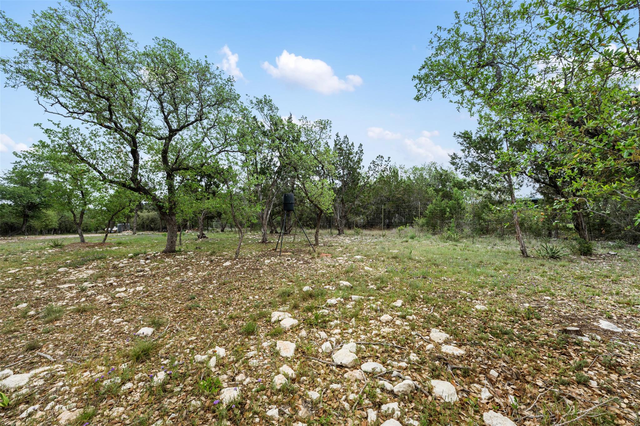 15901 Buddy Avenue Volente TX 78641