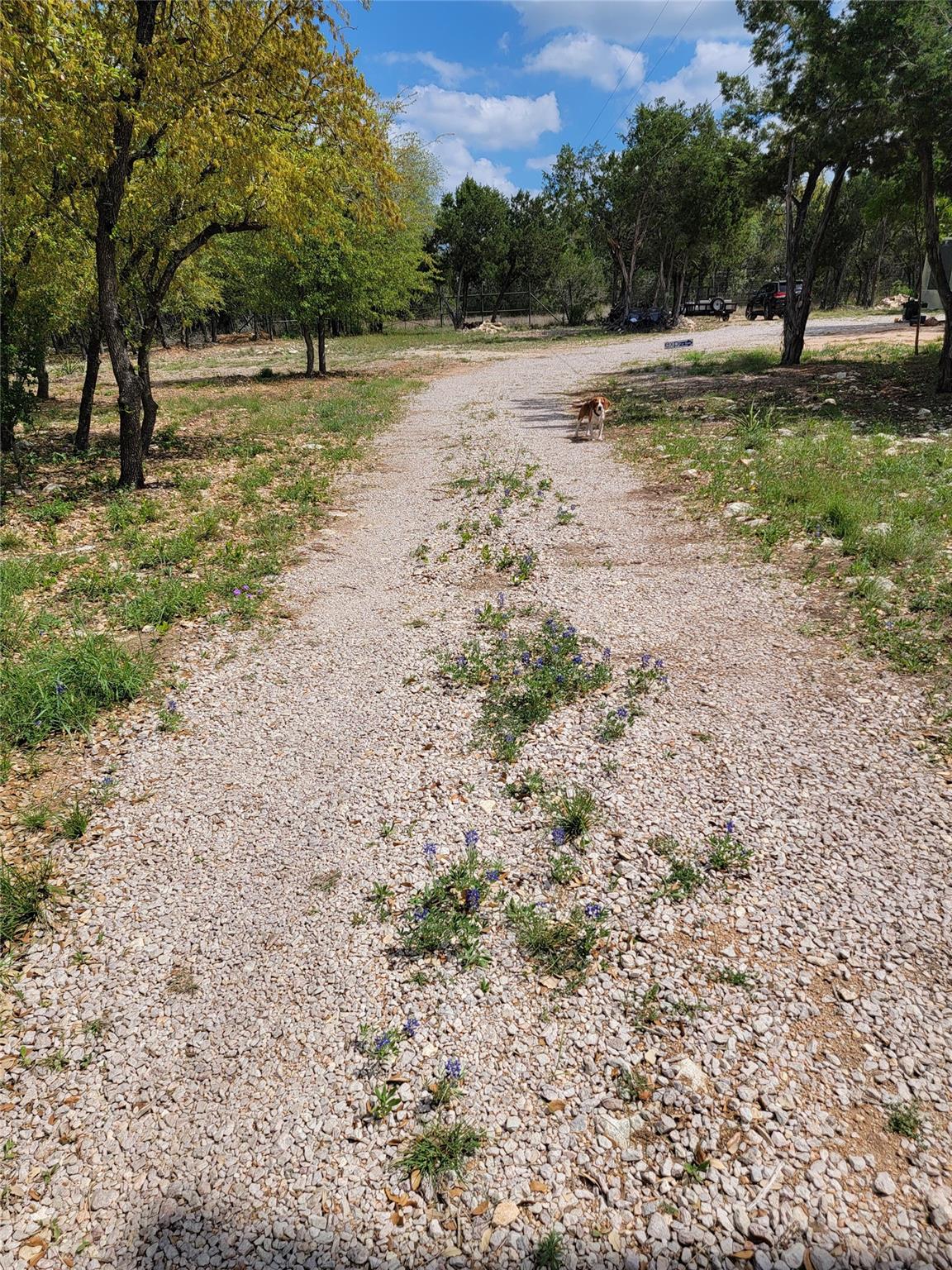 15901 Buddy Avenue Volente TX 78641