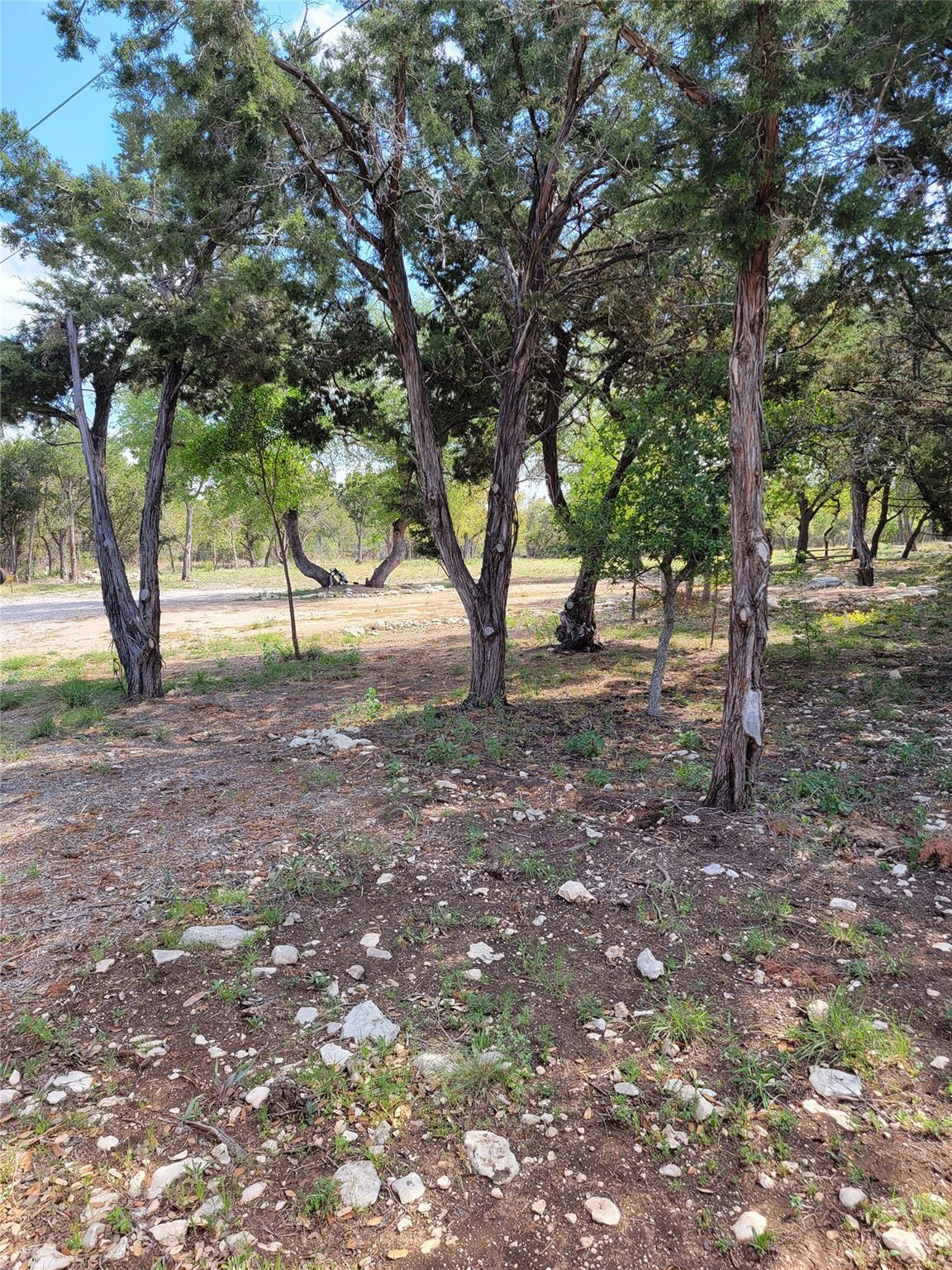 15901 Buddy Avenue Volente TX 78641