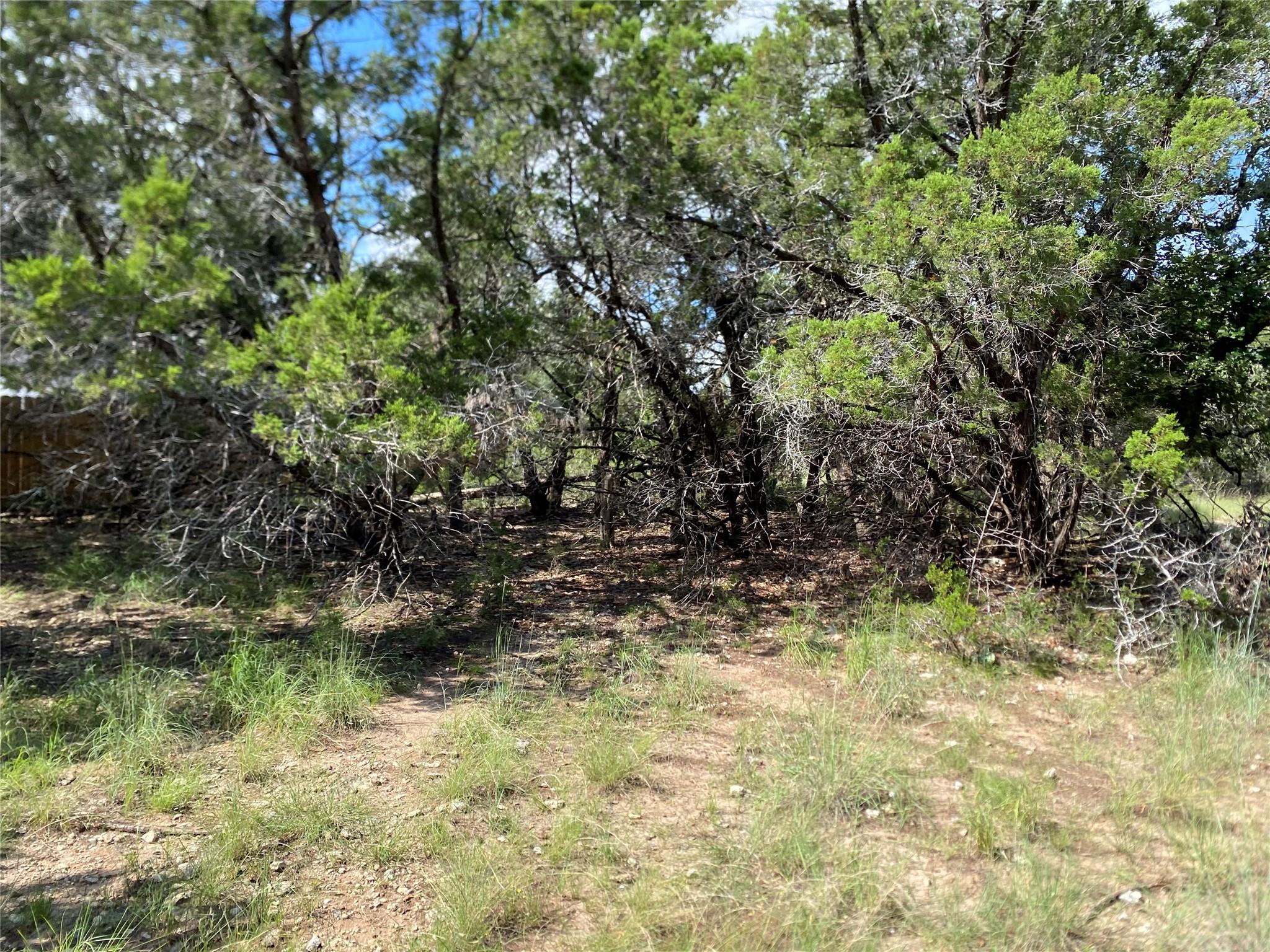 21105 Santa Rosa Avenue Lago Vista TX 78645