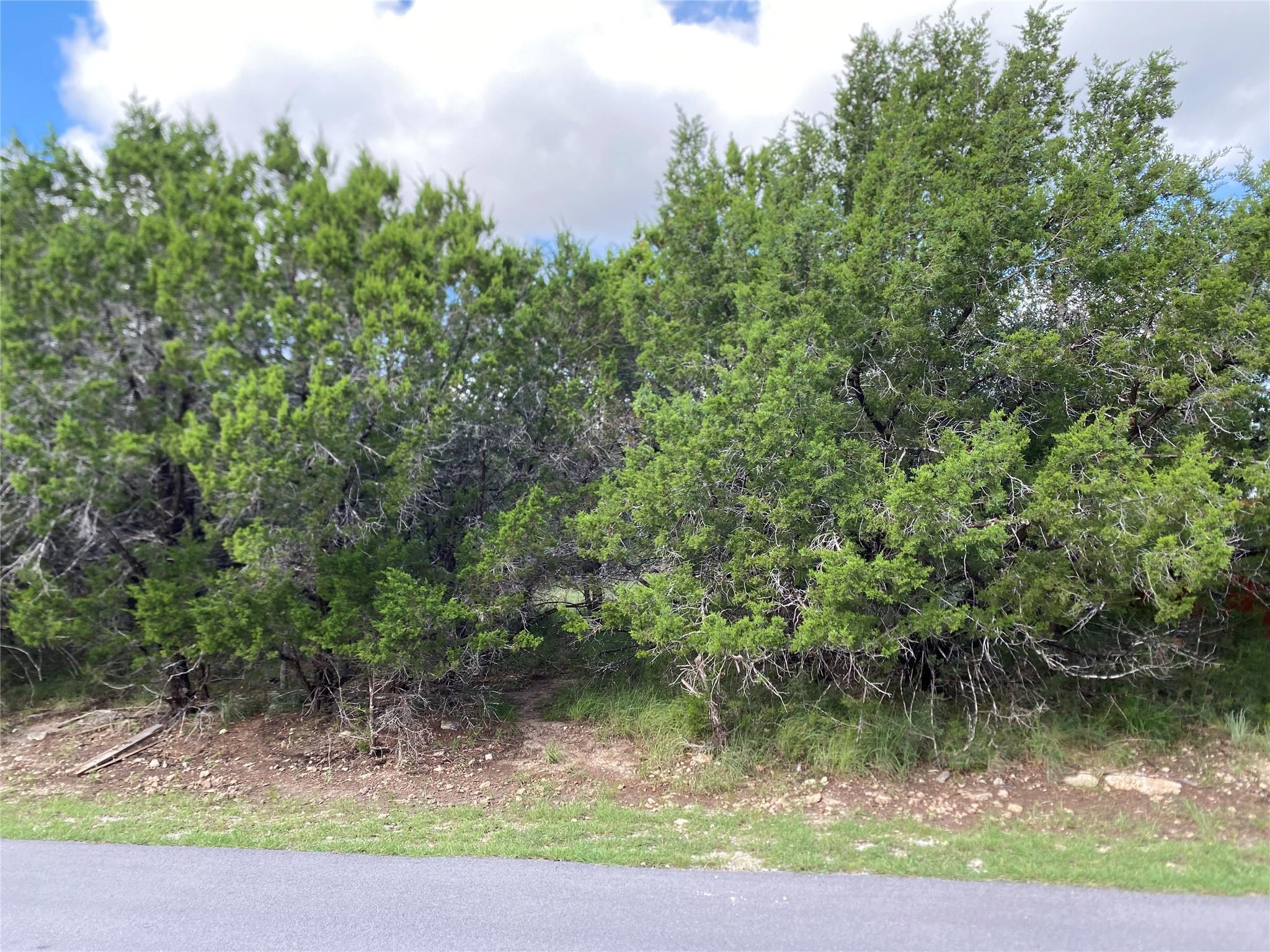 21105 Santa Rosa Avenue Lago Vista TX 78645