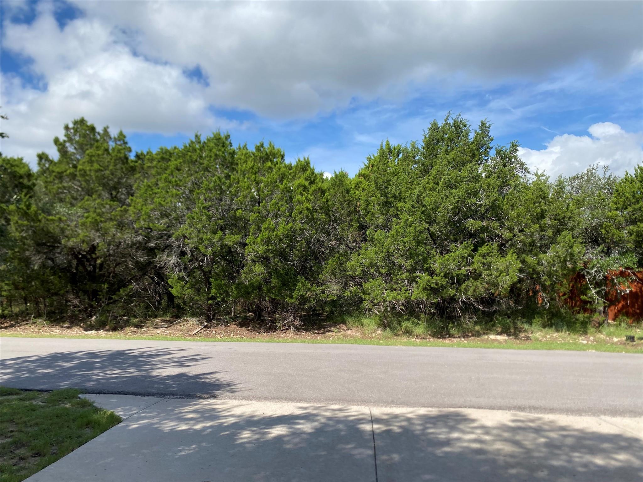 21105 Santa Rosa Avenue Lago Vista TX 78645