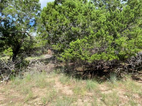 21105 Santa Rosa Avenue Lago Vista TX 78645