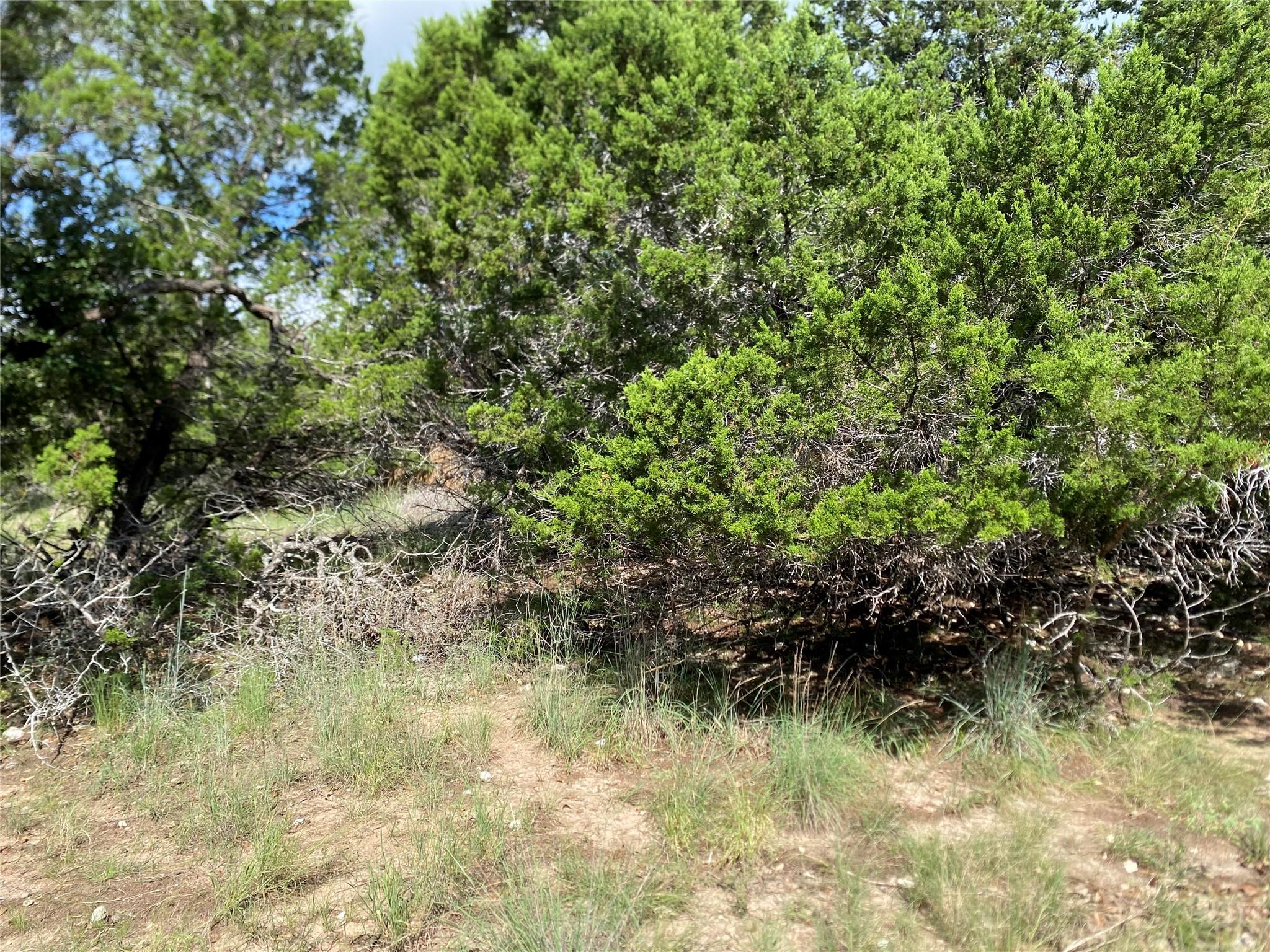 21105 Santa Rosa Avenue Lago Vista TX 78645