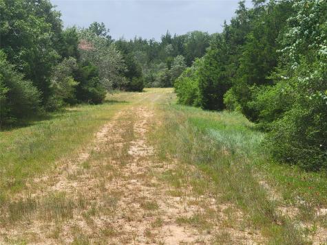 Tbd Cheyenne Hilltop Lakes TX 77871