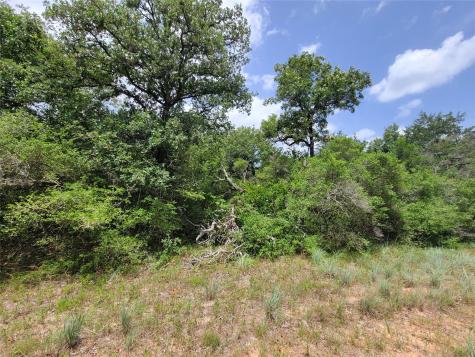 Tbd Cheyenne Hilltop Lakes TX 77871