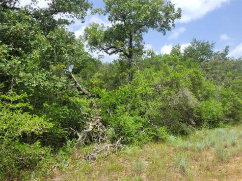 Tbd Cheyenne Hilltop Lakes TX 77871
