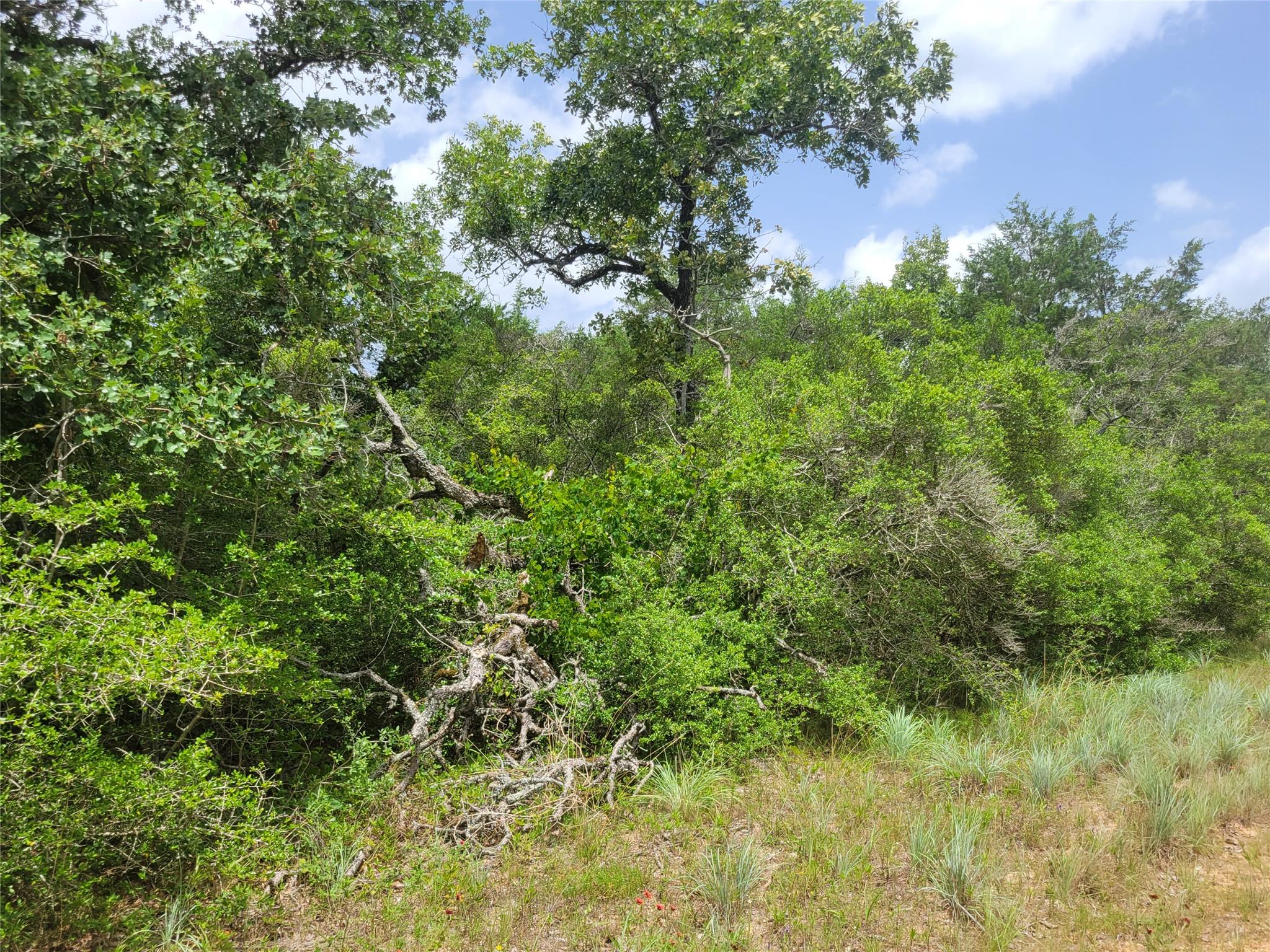 Tbd Cheyenne Hilltop Lakes TX 77871
