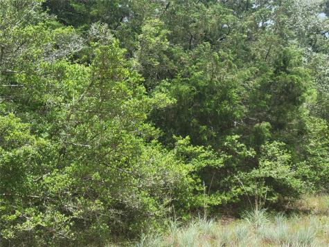 Tbd Cheyenne Hilltop Lakes TX 77871