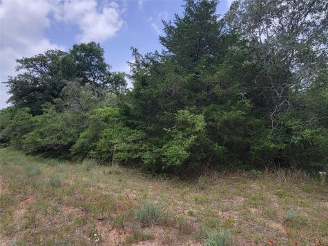 Tbd Cheyenne Hilltop Lakes TX 77871