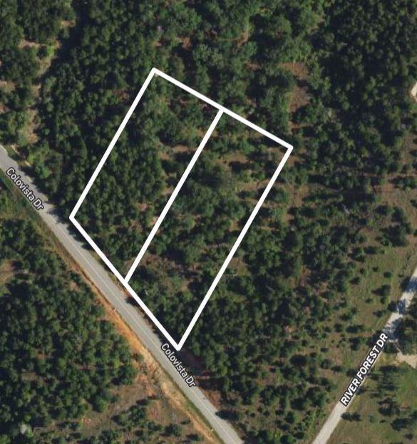 Tbd - Lots 2 & 3 Colovista Drive Bastrop TX 78602