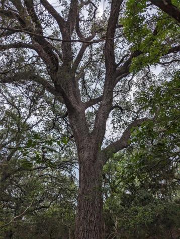 73 E Valley Spring Road Wimberley TX 78676