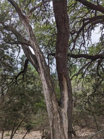 73 E Valley Spring Road Wimberley TX 78676