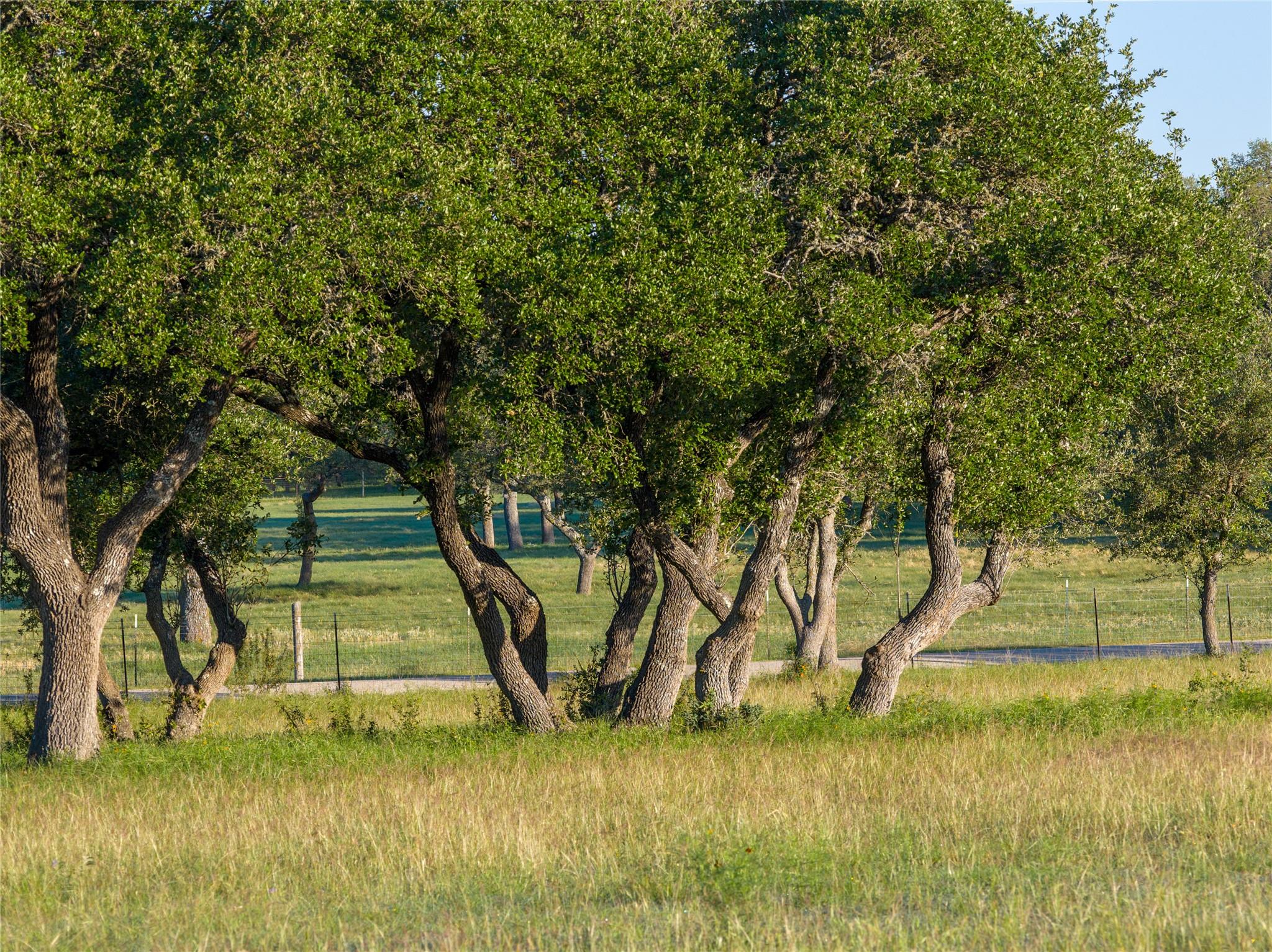 Tbd Mount Sharp Road Wimberley TX 78676
