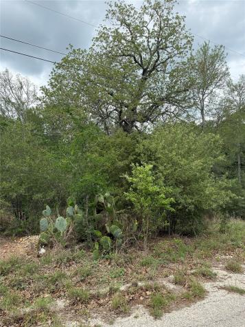 Lot 70 Kaelepulu Drive Bastrop TX 78602