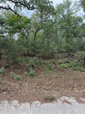 Lot 70 Kaelepulu Drive Bastrop TX 78602