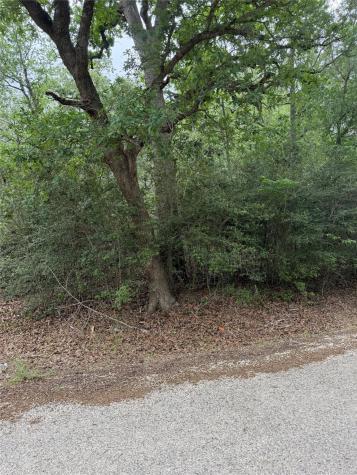 Lot 70 Kaelepulu Drive Bastrop TX 78602