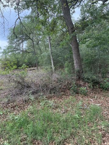 Lot 70 Kaelepulu Drive Bastrop TX 78602
