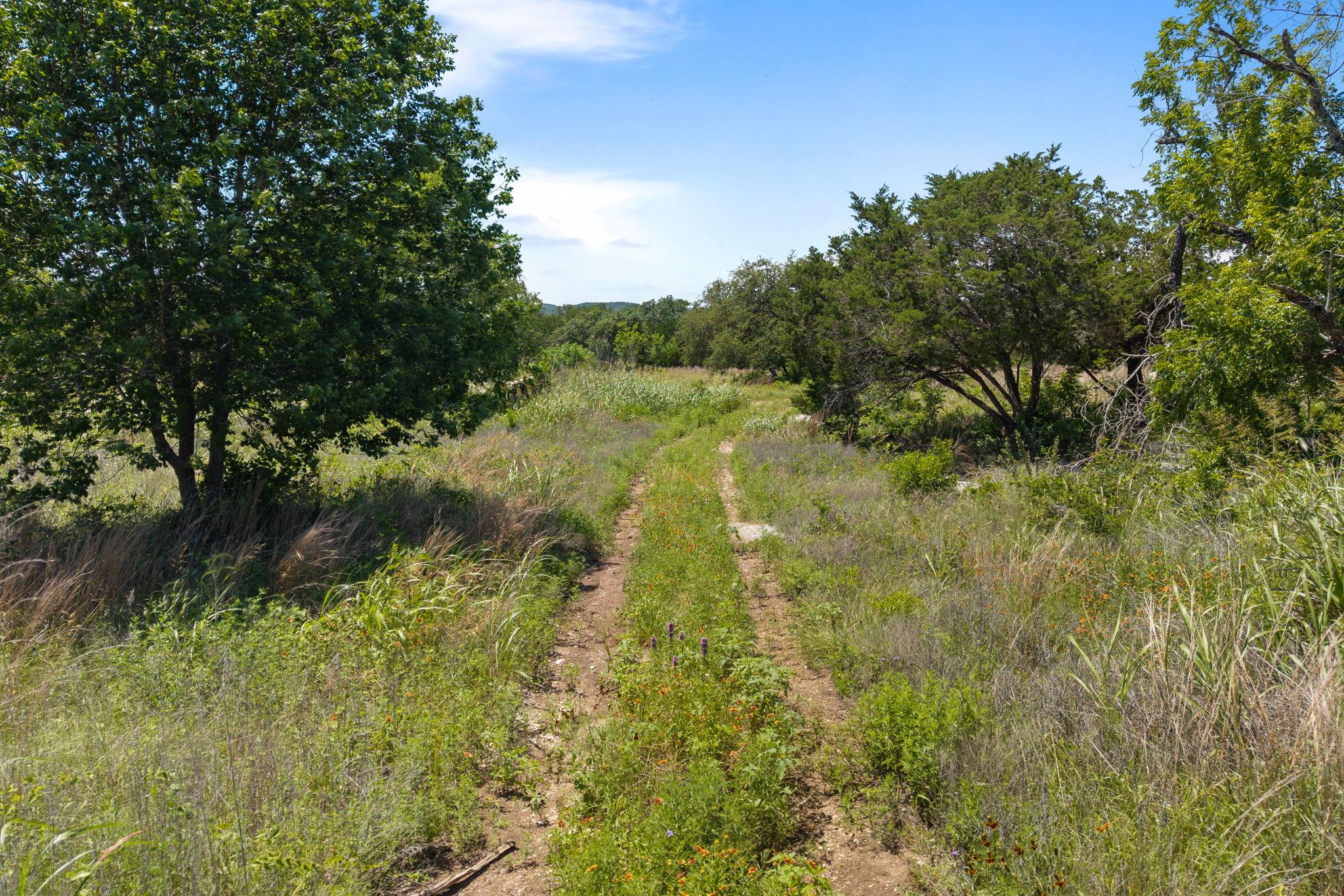 14600 Honeycomb Drive Leander TX 78641