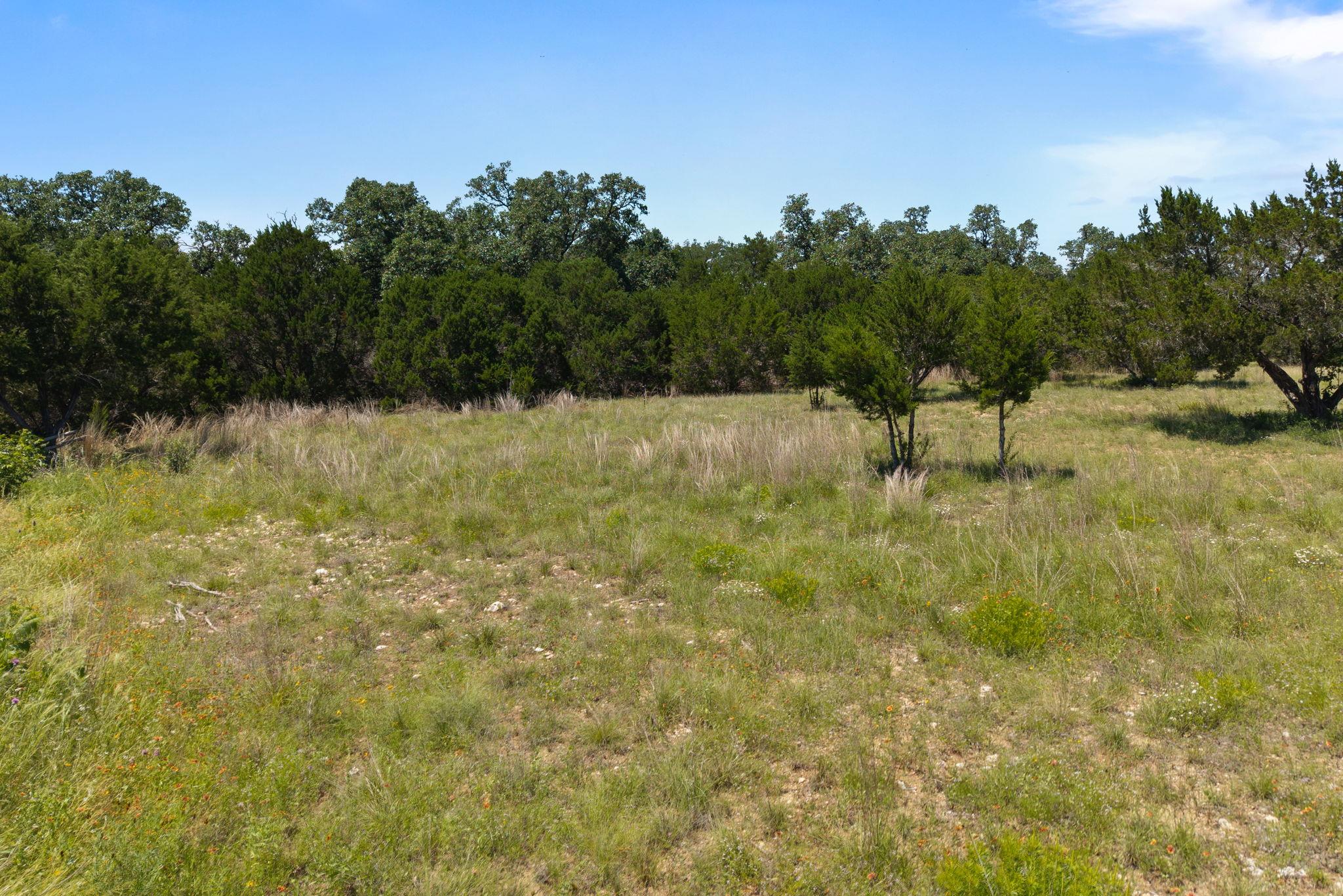 14600 Honeycomb Drive Leander TX 78641