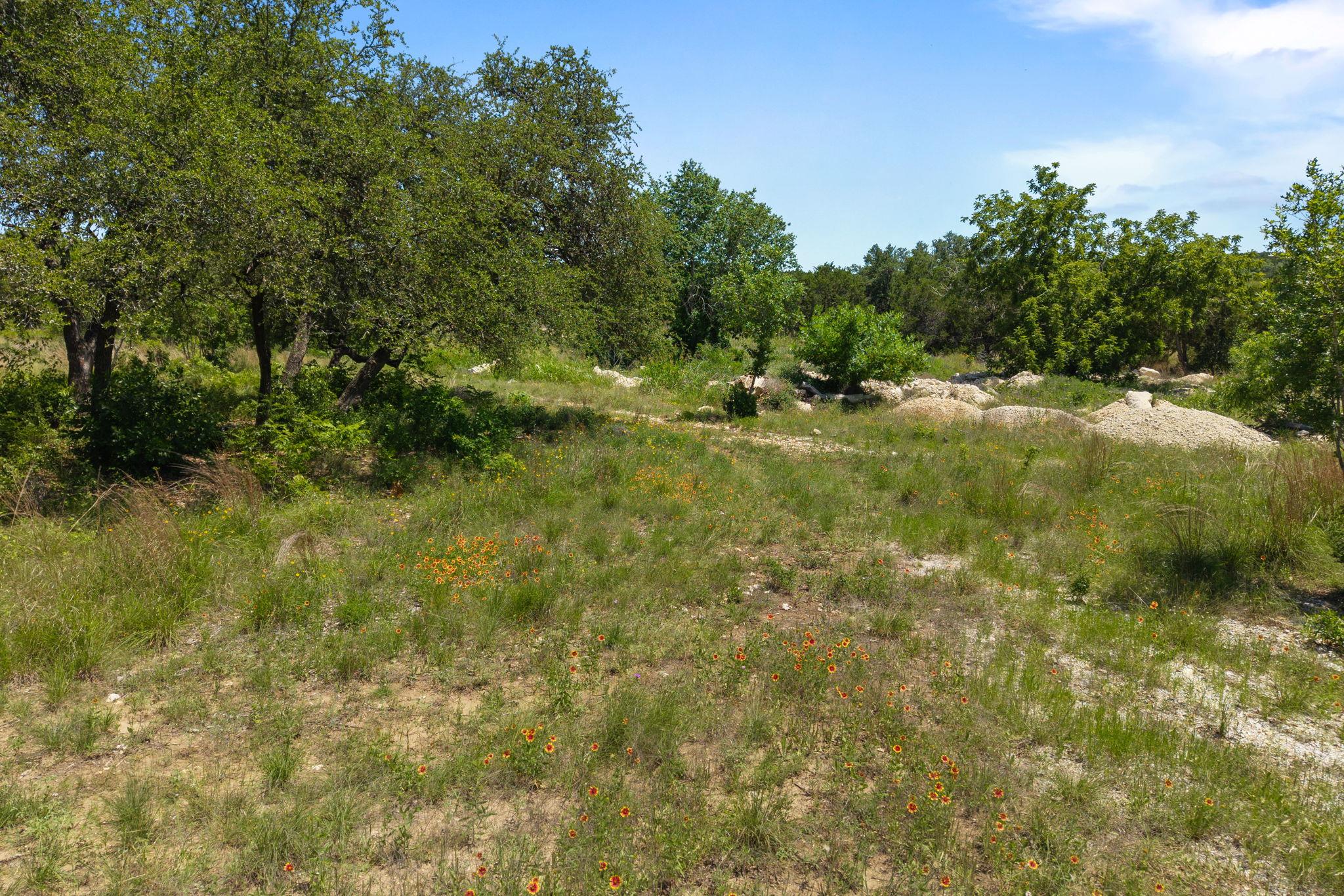 14600 Honeycomb Drive Leander TX 78641