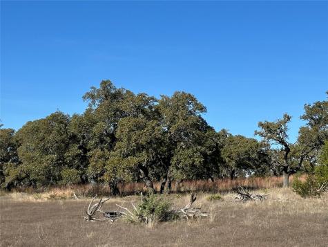 Lot 186 Blackbuck Ridge Drive Lampasas TX 76550