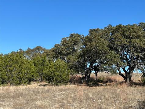 Lot 186 Blackbuck Ridge Drive Lampasas TX 76550