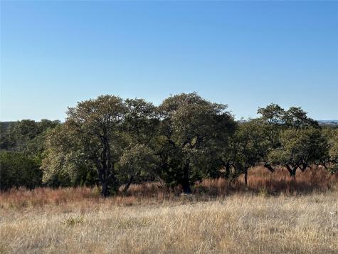 Lot 186 Blackbuck Ridge Drive Lampasas TX 76550