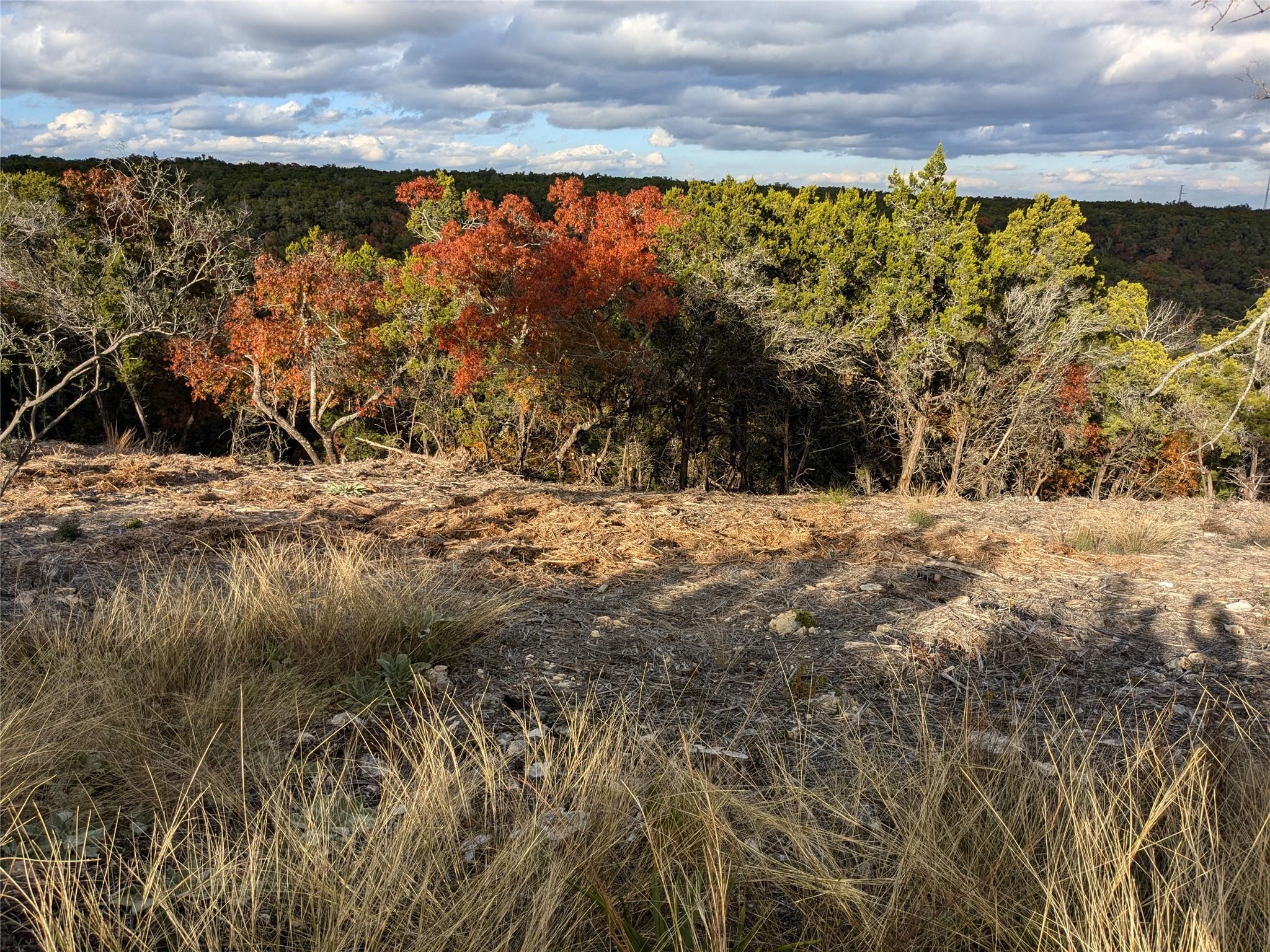 20702 Ramrod Trail Lago Vista TX 78645