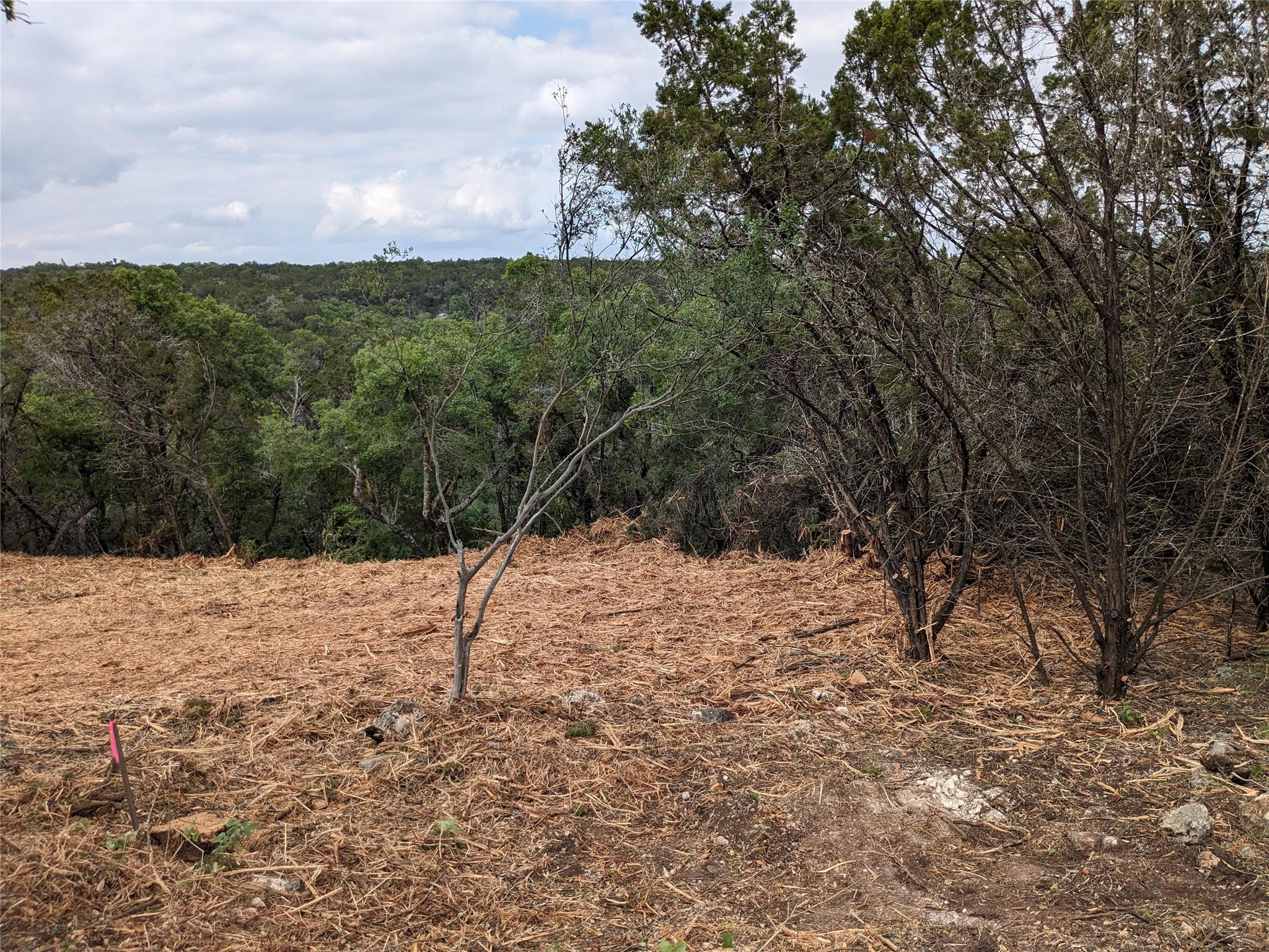 20702 Ramrod Trail Lago Vista TX 78645